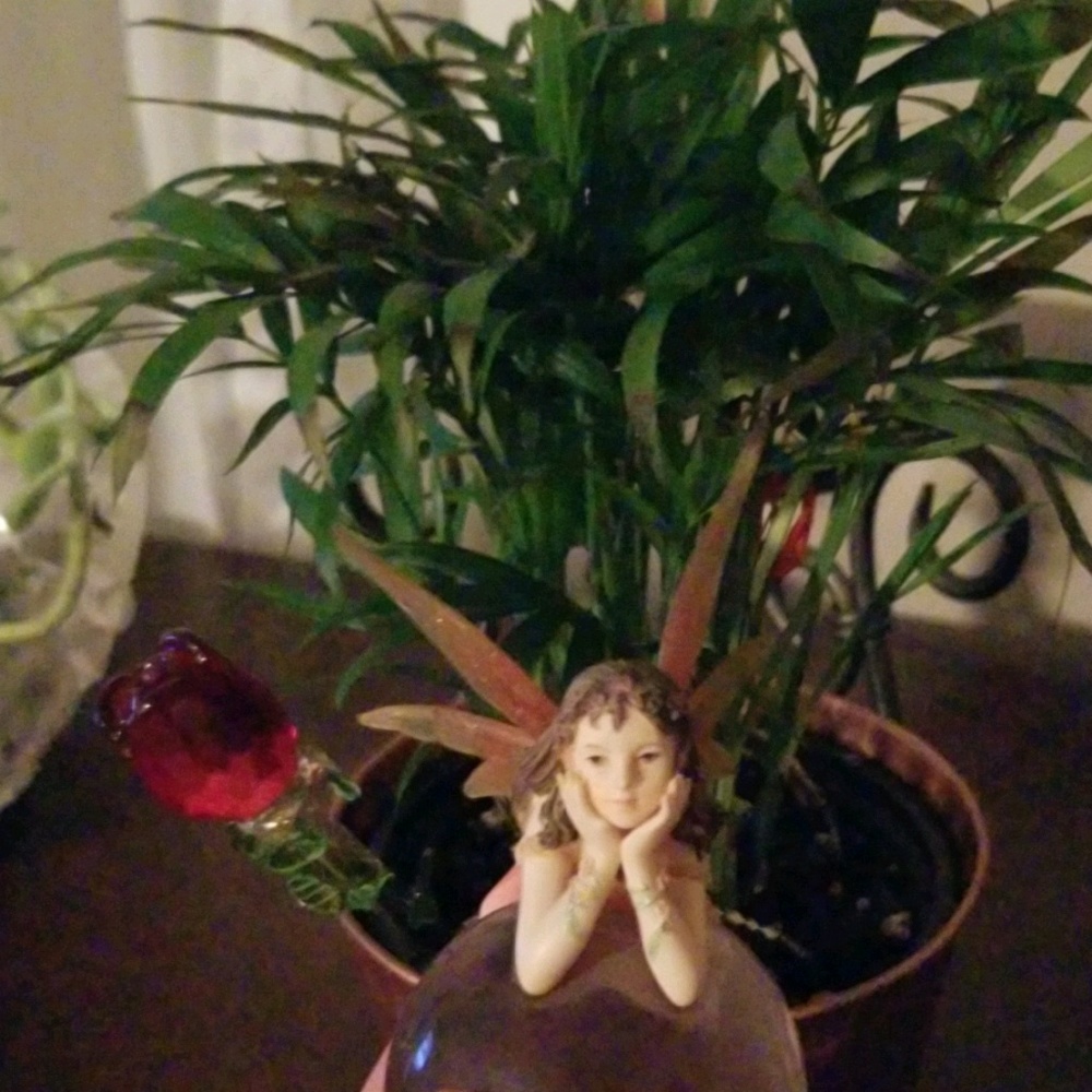 Meet your Posher, Esme